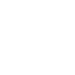 Switches & Accessories